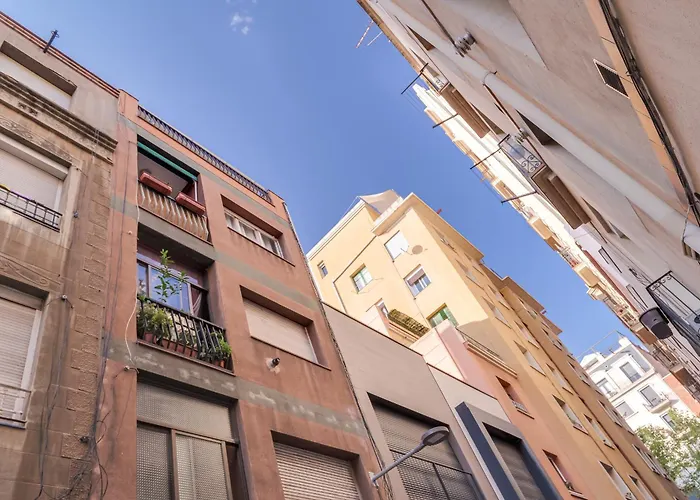 Stylish In Gracia